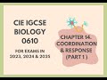 Nervous System Concepts Assessment