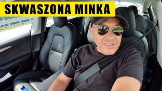 Skwaszona minka :-(
