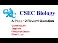 Plant Growth and Photosynthesis Concepts