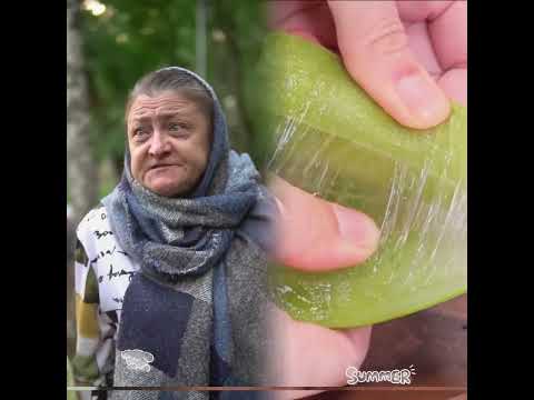 ❎ pov Бабушка сделала поспешные выводы