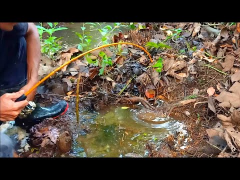 PEMANCING IKAN LEMBAT | MANCING IKAN LEMBAT BRUTAL | fishing 2024