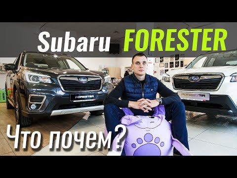 Subaru Forester FR