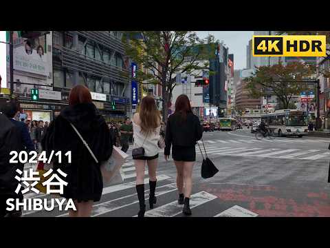 Weekend Walk in Tokyo: From Harajuku to Shibuya - 2024/11