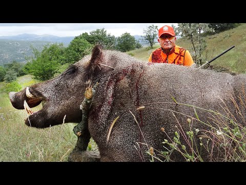 FIGHT GIANT MONSTERS! Farmers and Hunters battle Invading Giant Monster Boars