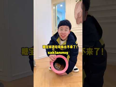 Babamla KEDİYİ BULDUK!