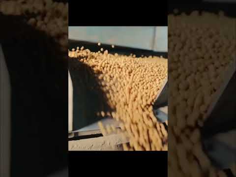 How To Make SoyaOli And Soyabean In Factory #shorts #ytshorts  #shortfacts
