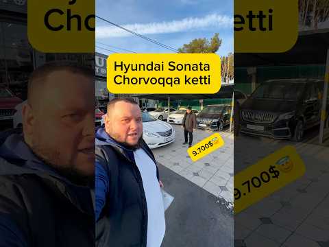 ✅Chоrvoqqa ketti SONATA.