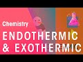 Exploring Endothermic and Exothermic Reactions