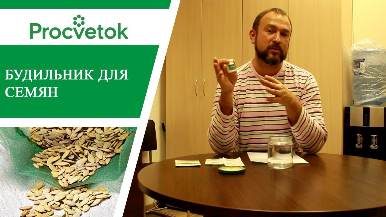 Как повысить всхожесть семян - простой способ.