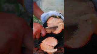 Opening fresh roasted coconut