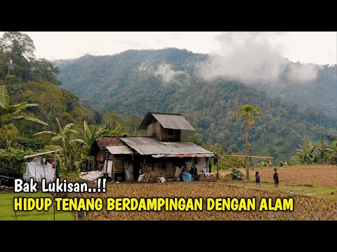 Luar Biasa !! Sepasang Lansia Menikmati Masa Tua Memilih Tinggal Menyendiri di Rumah Pinggir Hutan