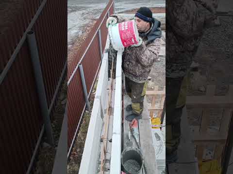 Армопояс #shrts
