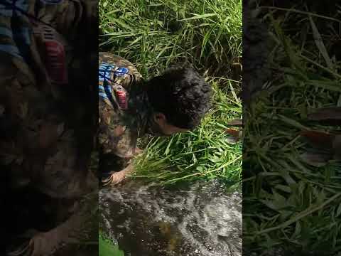 binukasan ang pintuan ng dam sumabay ang malalaking isda