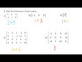 Exploring the Basics of Matrices