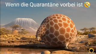 Wenn die Quarantäne vorbei ist