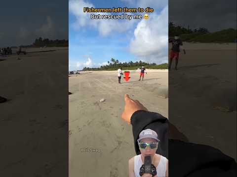 Selamatin Bintang Laut ‼️ Keren dan baik Banget