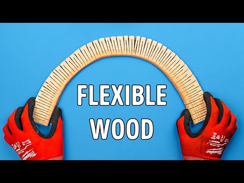 Woodworking Tips for All Levels!