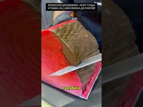 Японская церемония - Храп тунца и рыбка за 3000000$! #2025 #факты #новости #viral