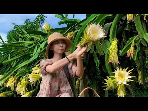 Enjoy beautiful nature with rural life 366 # MP Fresh #fruit #countrylife #farming #freshvegetables
