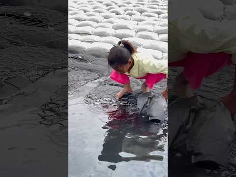 Tom 🍓Jerry nice 😊 #music #shorts