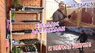 видео
