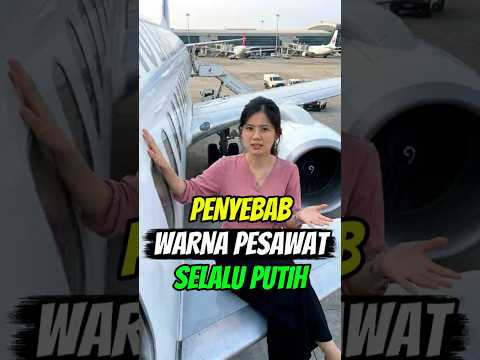 Kenapa Hampir Semua Pesawat Dicat Putih? ✈️