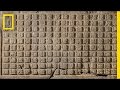 Exploring Maya Heritage and Conservation Efforts
