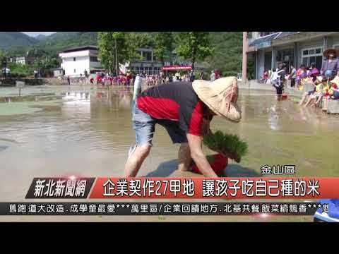 1070329新北新聞網08 金山區企業契作27甲地 讓孩子吃自己種的米 - YouTube