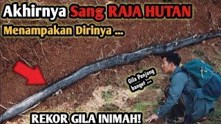 AKHIRNYA KETEMU! SANG RAJA HUTAN MENAMPAKAN DIRINYA! REKOR KEMBALI TERPECAHKAN