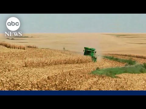 YouTube video thumbnail: Nebraska Soybean Farmers on America’s Trade war: ‘We are Losing Money’
