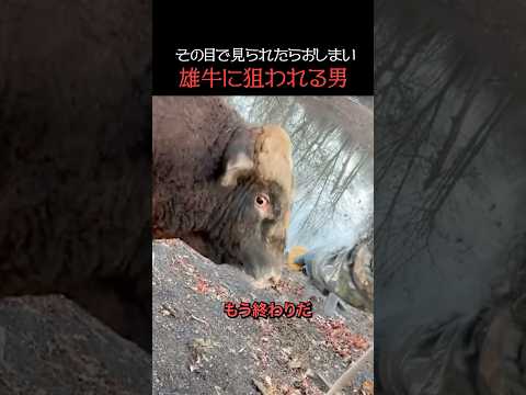 その目で見られたらおしまい