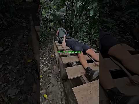 Amazon Rainforest Holds Cures We Still Donโt Know About