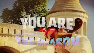 HAUSER GET WELL WISHES YOU ARE THE REASON MUSICAL MIX