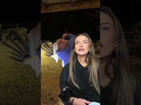 We have a rehabilitation diva, I’ll try my absolute best for her🫶🏼