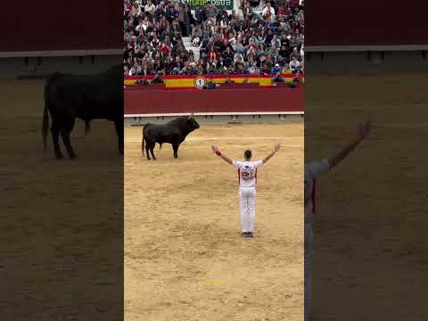 “Aron Grande” Quiebro en el concurso de recortes castellon 2024