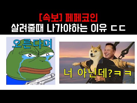 [페페코인] 살려줄때 나가셔야 합니다