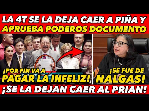 CAE EL KARMA! MIRA COMO LA 4T SE LA DEJAN CAER A NORMA PIÑA Y APRUEBAN PODEROSO DOCUMENTO ¡SE ACAB0!