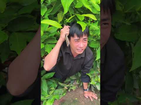 Đập hộp NÚT BẠC YouTube | Sinl Food #shorts
