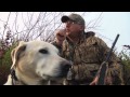 North American Waterfowl Management Insights