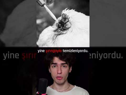 1,5 yıl KAFASIZ YAŞAYAN TAVUK Mike