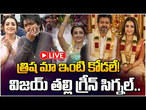 విజయ్ -త్రిష పెళ్లి ఫిక్స్! 🔴LIVE | TVK Vijay and Trisha Wedding Finalized | Daamu balaji | RED TV