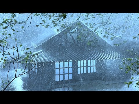 Break Insomnia with Strong Hurricane, Powerful Rain, pounding Thunder & Raging Winds at Stormy Night