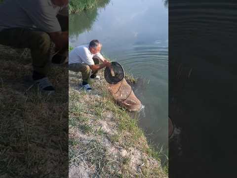 Результат рыбалки