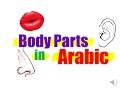 Arabic Vocabulary: Common Words