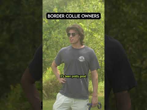 Types of Dog Breed Owners at the Park