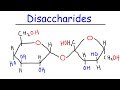 Understanding Disaccharides
