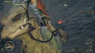 Monster Hunter Wilds ep.329