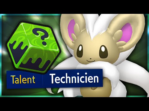 Une team de FOU FURIEUX avec PASHMILLA