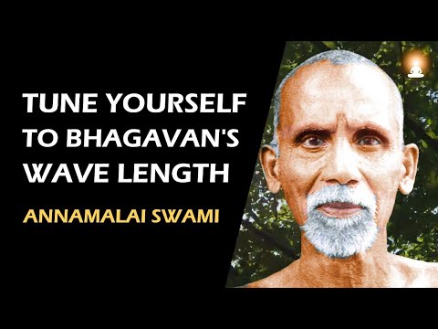 YOU WILL RECEIVE GUIDANCE WHEREVER YOU ARE | Annamalai Swami