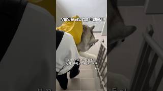 우비입은 곰인형을 주웠는데!!!!!